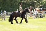 SBM_07033