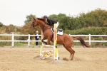 SBM_008737