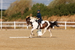 SBM_009687
