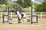 SBM_008065