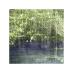 Blurbell