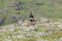 Duddon Long-784