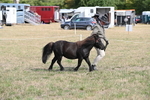 WJ6_6815