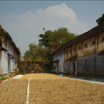 The Ginger Market
