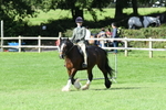 SBM_46910