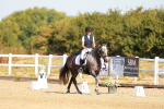 SBM_016557