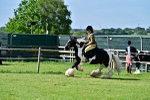 SBM_09327