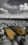 Corrugated sheets 2