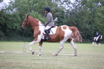 Class 4 - Novice 2 portfolio