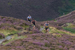 Barrow Fell-2