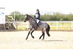 SBM_002528
