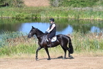 WJ7_6932