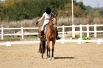 SBM_018653