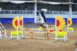 SBM_001828