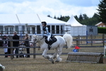 WJ7_1071