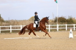 SBM_009606