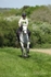 SPXX4969