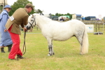 SBM_04366