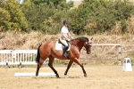 SBM_002963