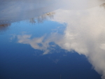 PC1201470289