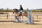 SBM_000647