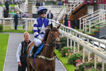 Pony Racing 12.50pm portfolio