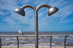 Looking out to sea