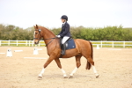 SBM_007447