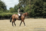 _PJP5997