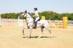 SBM_001599