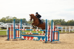 SBM_001731