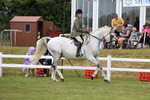 Class 8: Open Riding Horse/Hack portfolio