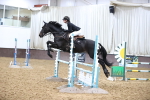 Class 8 - The Lisa Palmer Memorial 1.00m portfolio