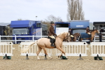 SBM_006846