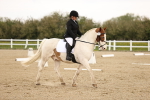 SBM_006525