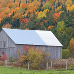 Country Barn in Autumn New Brunswick Canada