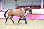 SBM_06675