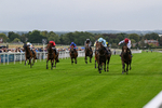 290826-Race 3-Fans Favourite-6451