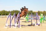 SBM_003935