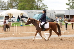 SBM_01008