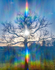 Oak Sunburst