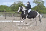 BPP_7138