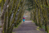 Kielder-1139