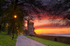 z2086 Appley Tower at Sunset