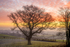 February Sunrise