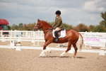 SBM_05865