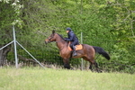 WJ6_1676