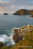 Gullestem, Tintagel.  Ref 2510