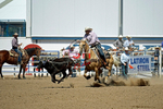 3HRodeo8-11-25_PRCASteer_06753_