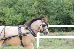 SBM_000369